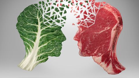 Vegano vs carnívoro