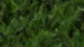 El TAS falla a favor de la FIFA y avala la legalidad del Reglamento sobre agentes de jugadores