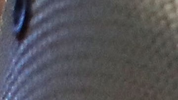 Reunion Event Re-Connects Mexican Family Members Separated from Loved Ones Due to Migration