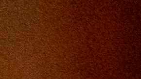 La madre y su hermano de la menor estaban con ella al momento de su fallecimiento.