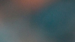 Quinnen Williams el tackle defensivo de los New York Jets.