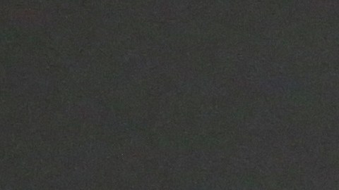 Daryl Sabara and Meghan Trainor.