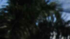 La agricultura es una de las industrias que se verán afectadas por la Ley SB 1718.