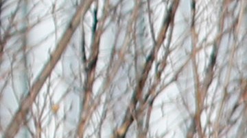 Ryan McManigal fue declarado culpable de poseer armas de destrucción masiva.