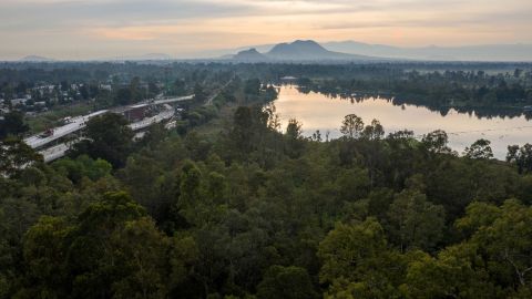 El cuerpo se encontró flotando en el área de Cuemanco, CDMX.