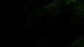 Desplegaron cinco equipos de rescate de aguas rápidas y un vehículo de eje alto para ayudar con los rescates.