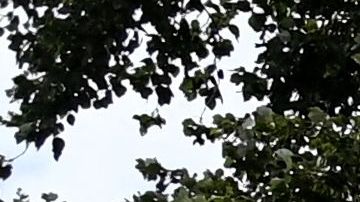 Stanislav Rzhitsky fue asesinado mientras trotaba en Krasnodar.