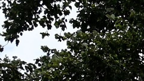 Stanislav Rzhitsky fue asesinado mientras trotaba en Krasnodar.