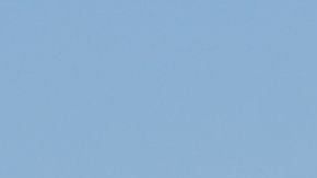 Según la organización cada año más de un millón de personas son amenazadas o sujetas al uso de la fuerza por parte de las fuerzas del orden.