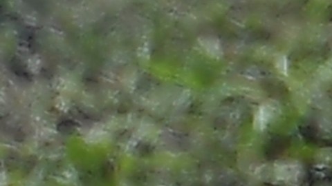 Ceremonia de encendido de la antorcha para los JJOO de Invierno Beijing 2022.