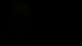 La policía encontró el cuerpo sin vida de Danicka Bergeson.