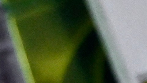 Boleto Mega Millions