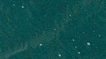 La mujer sufrió una grave mordedura de un tiburón.