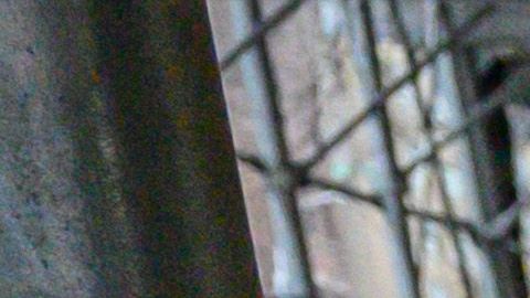 La ciudad de Nueva York se ha visto saturada por decenas de miles de inmigrantes que arribaron a los cinco condados en 2022.