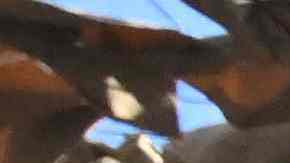 Elementos del Grupo Wagner en Bielorrusia.