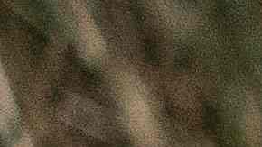 Tragedia en el Alligator and Wildlife Discovery Center.