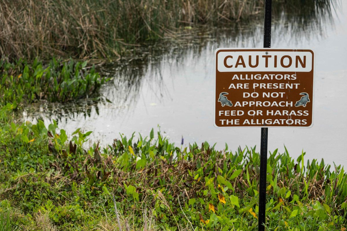 Devastating Fire Claims Lives of Animals at Alligator and Wildlife Discovery Center in Florida