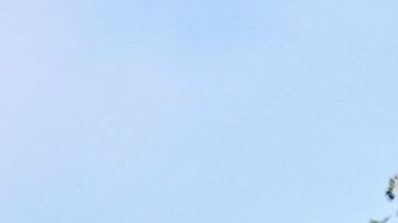 Trabajador agrícola en Florida