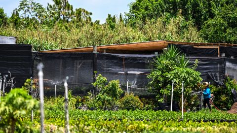 Trabajador agrícola en Florida