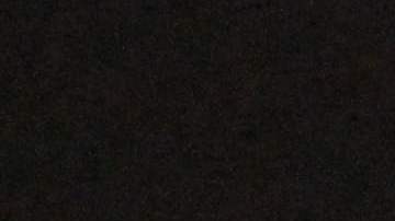 Elon Musk quiere deshacerse del "pajarito azul" de Twitter.