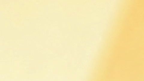 Tokischa asistió a la Semana de la Moda en París, al igual que muchos otros artistas famosos.