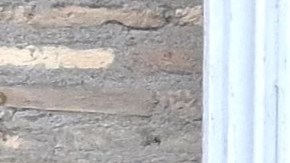 El Papa Francisco se dirige a los fieles durante su oración del Ángelus desde la ventana del Palacio Apostólico.