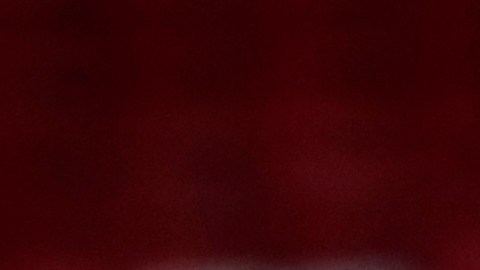Pedro es uno de los jugadores más queridos por la afición del Flamengo.
