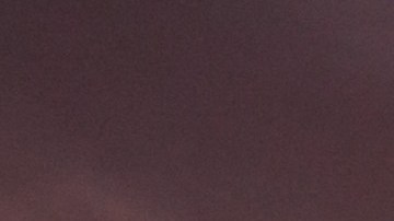 Amigos del hombre dijeron que habían visto a Rodríguez por última vez el 10 de julio.