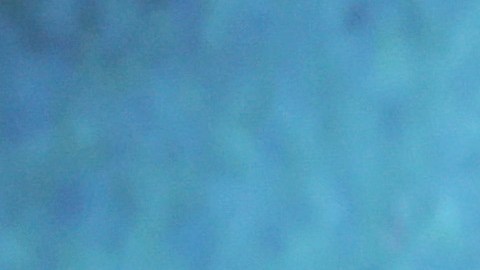 Jonah Hill y Sarah Brady en 2021 durante el estreno mundial de la cinta "Don't Look Up".