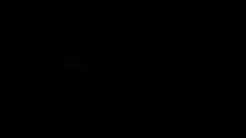 En la imagen aparece el elefante Muthu Raja .