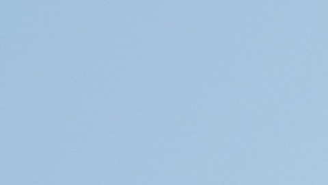 Ex secretaria de prensa de Trump asegura que vio al expresidente entregando documentos clasificados a personas en Mar-a-Lago