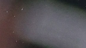 Edwin Díaz luego de concretar un salvado ante Seattle Mariners en 2022.