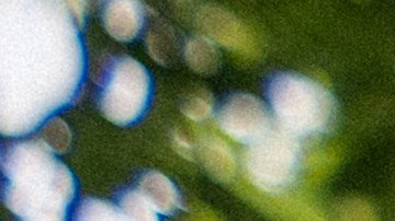 Hay alimentos que podemos conservar en la nevera portátil, otros no son recomendable porque se puede dañar