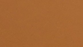 Family Dollar tienda