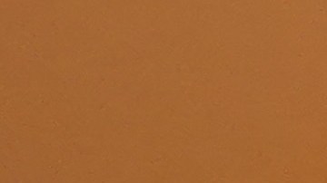 Family Dollar tienda