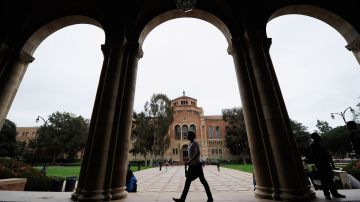 Estudiantes indocumentados de la Universidad de California pugnan por mejores oportunidades.