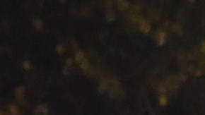 Mujer de 21 años murió durante violento tiroteo en Chicago