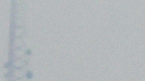 Avión de United Airlines