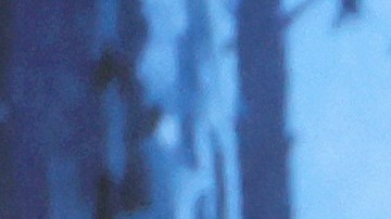 La actriz mexicana Salma Hayek Pinault