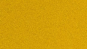 Los daños están estimados en más de $50 millones de dólares, lo que llevó a Hochul a pedir a la Casa Blanca una declaración de catástrofe.