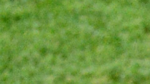 Álvaro Arbeloa (L) y Sergio Busquets (R) fueron pilares de la Selección de España.