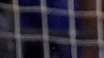 La selección de Estados Unidos comparte el Grupo E con Holanda, Vietnam y Portugal.