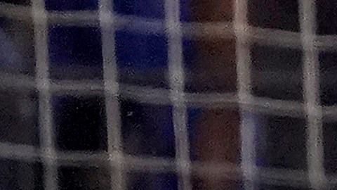 La selección de Estados Unidos comparte el Grupo E con Holanda, Vietnam y Portugal.