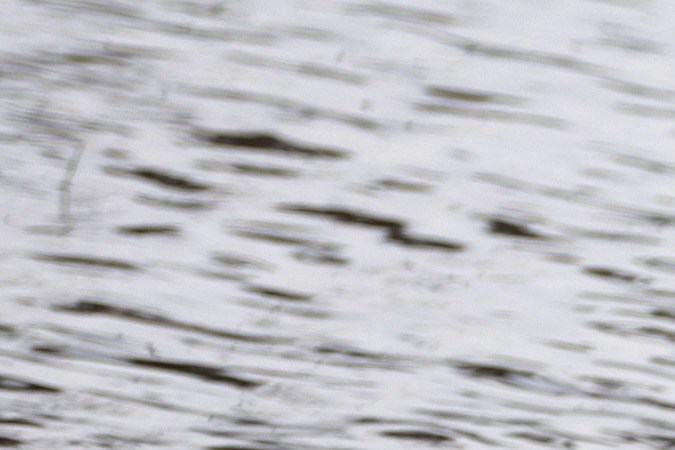 La vulnerabilidad de AMOC proviene del rápido calentamiento de nuestros océanos. (Foto: Alex Wong/Getty Images)