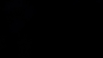 Spencer Dinwiddie y Ricky Rubio.