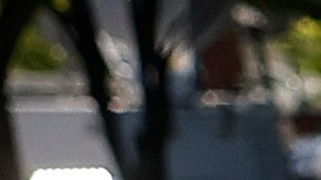 Ex ejecutivos de Fox expresan remordimiento por "ayudar a construir una gran maquinaria de desinformación"