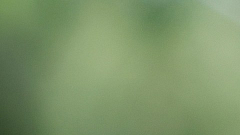 Bob Iger es un empresario estadounidense de 72 años.