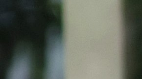 Rudy Giuliani, ex abogado de Trump, sugiere que lo contraten para descubrir el origen de la cocaína hallada en la Casa Blanca