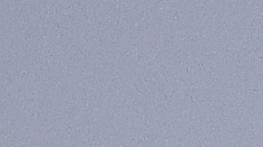 Aaron Rodgers con los New York Jets.