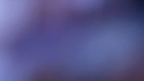 Roberto Firmino jugó sus últimas ocho temporadas en el Liverpool.